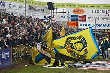 fans