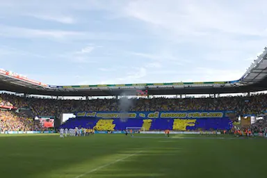 Fans