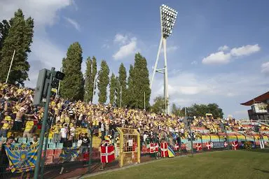 fans